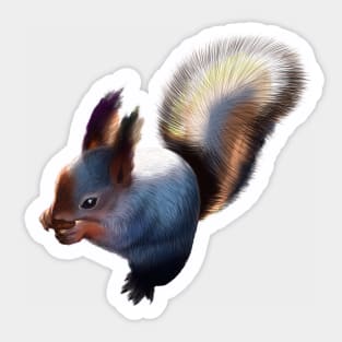 Fluffy squirrel Sticker